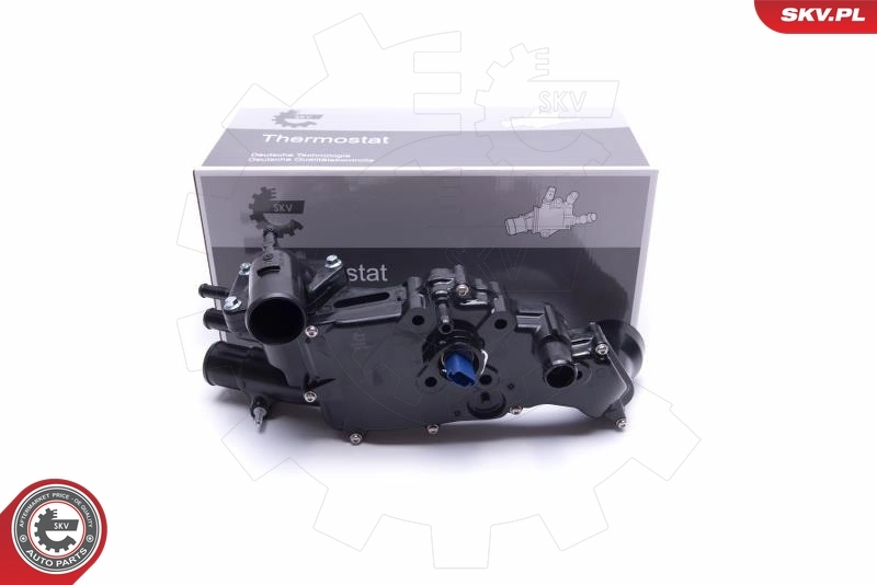 Thermostat, coolant